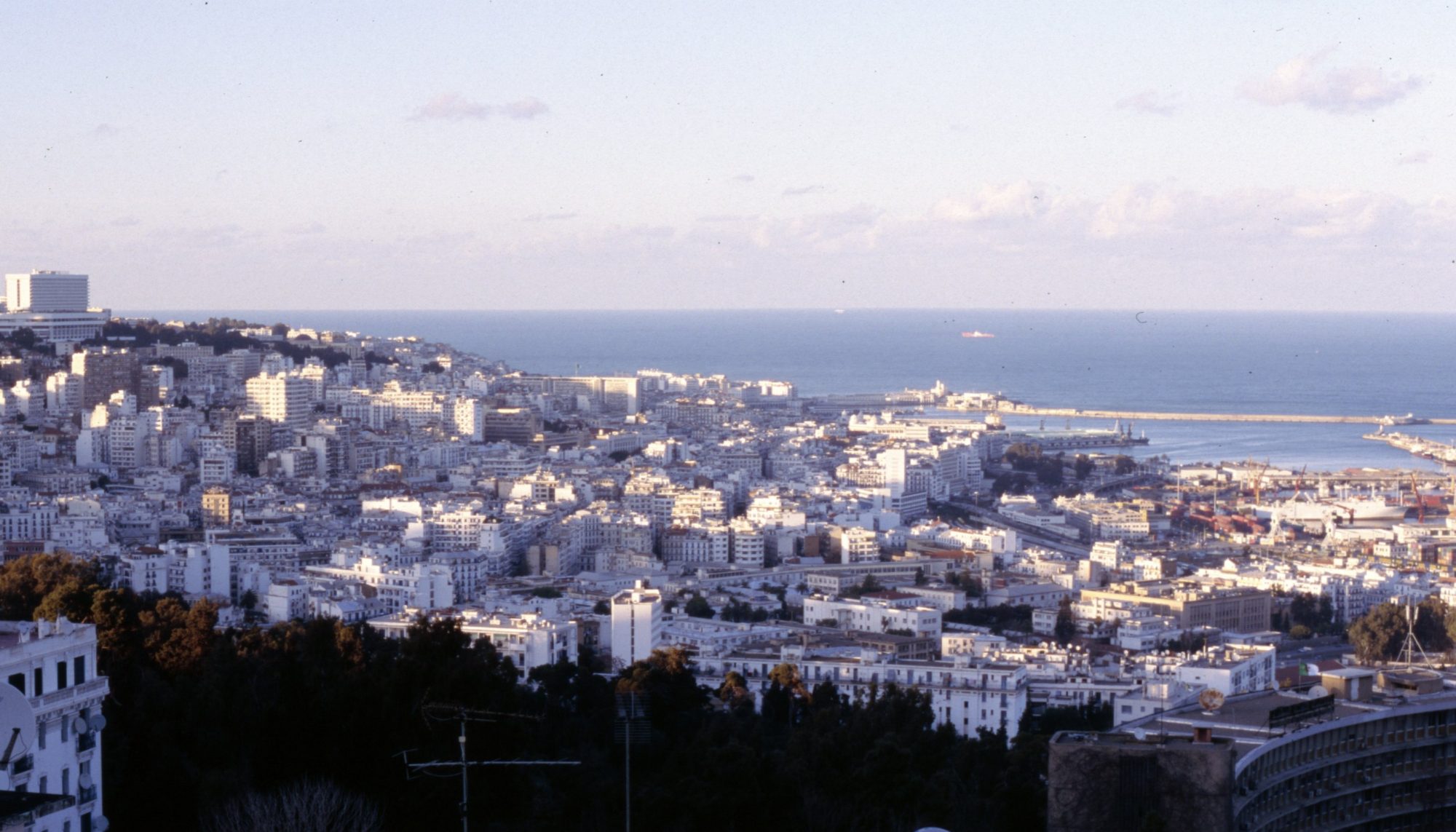 Learn Algerian